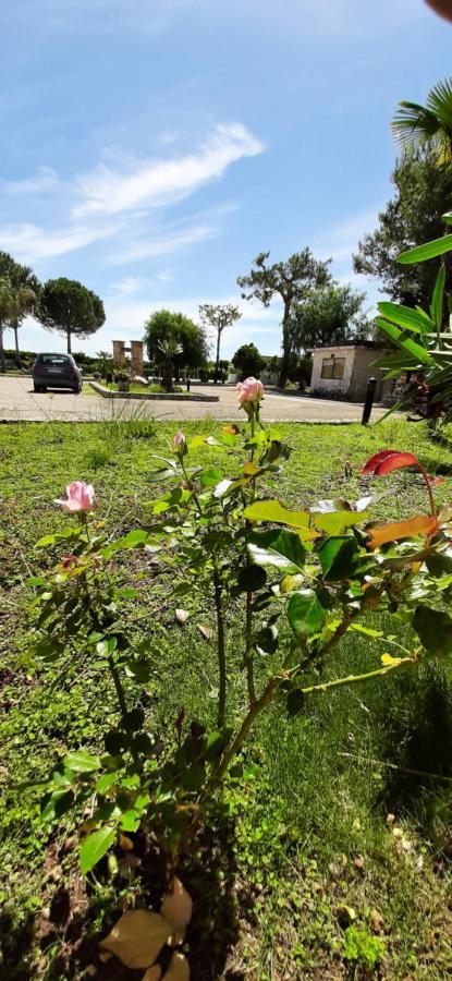 Masseria San Nicola B&B Torre Santa Susanna Exterior foto